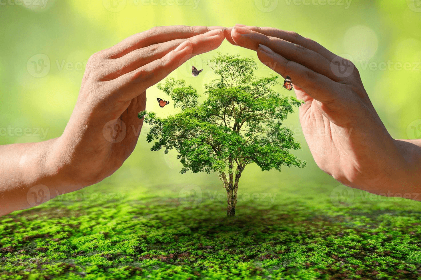 Eco-friendly paperless digital business card